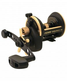 Penn Squall Series Conventional Reel